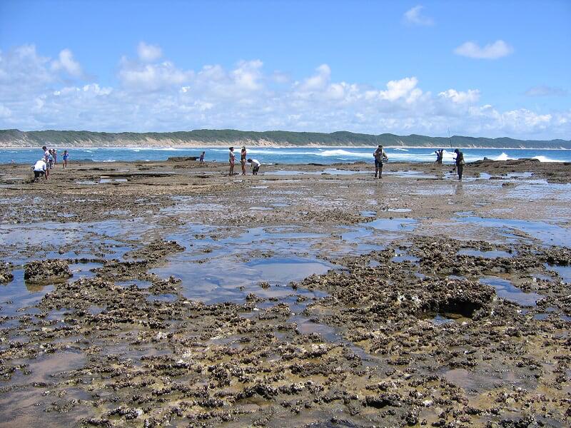 WhatsApp Image 2024-10-04 at 14_44_22_9dfa5cd9 - C